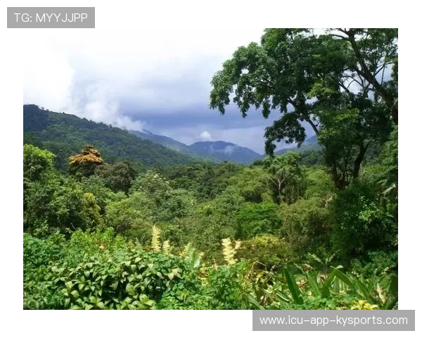 特立尼达和多巴哥国际赛跑系列赛热火朝天，特立尼达和多巴哥历史